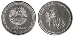1 rublo (Libro rojo - Ojo de perdiz) from Transnistria