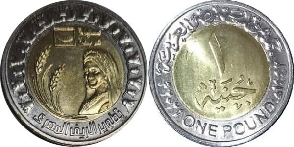 Photo of 1 pound (El desarrollo del campo egipcio es una vida decente)