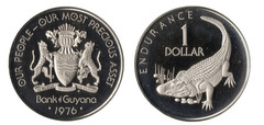 1 dollar (10º Aniversario de la Independencia) from Guyana