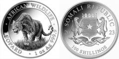 100 shillings (Leopard) from Somalia
