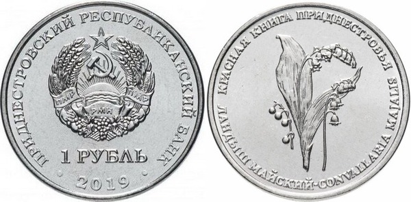Photo of 1 rublo (Lirio de los Valles-Convallaria majalis)