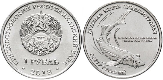 Photo of 1 rublo (Esturión ruso-Acipenser gueldenstaedtii)